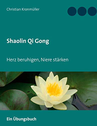 Shaolin Qi Gong: Herz beruhigen, Niere stärken von Books on Demand GmbH